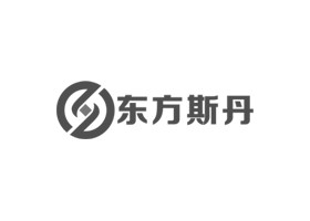 东方斯丹-网站建设